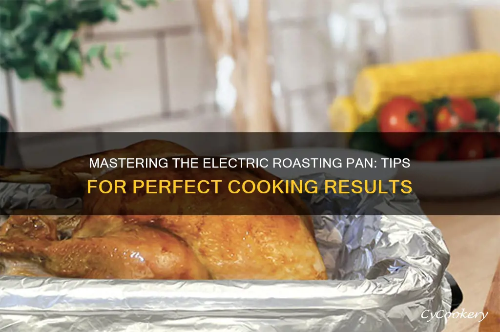 how to use electric roadting pan