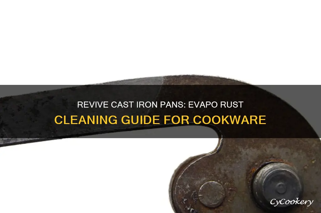 how to use evapo rust on cast iron frying pans