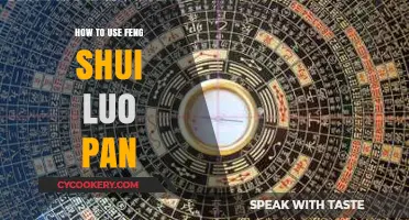 Mastering Feng Shui: A Beginner's Guide to Using the Luo Pan