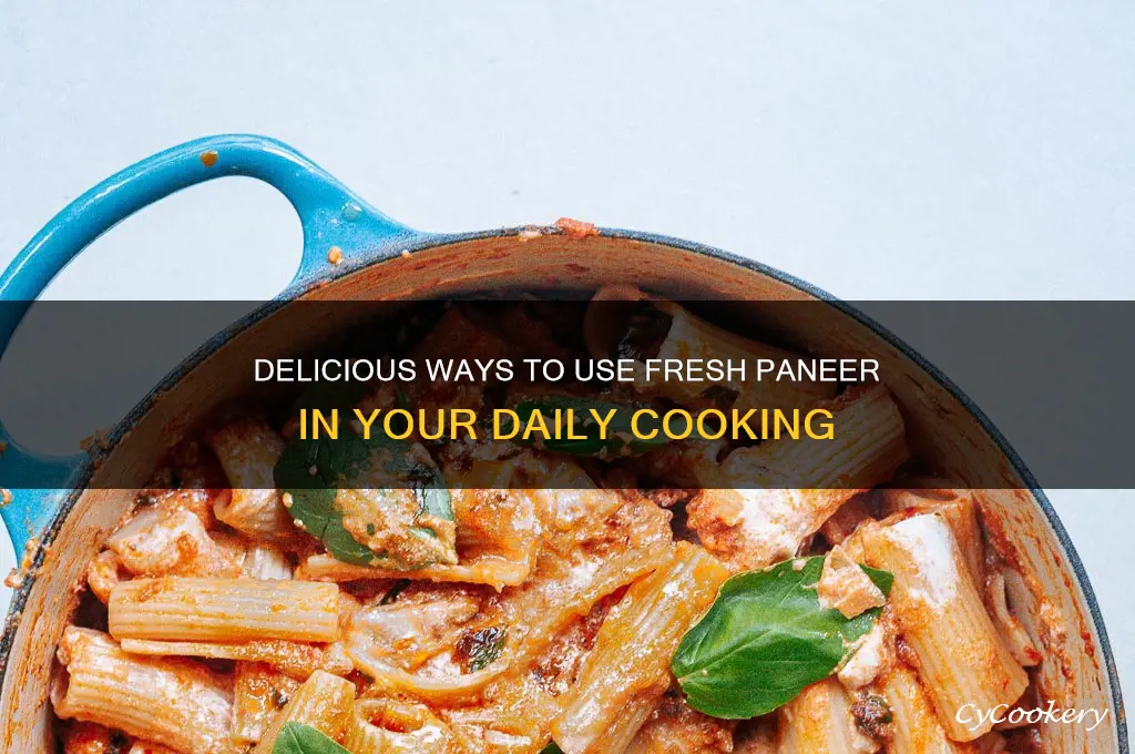 how to use fresh paneer
