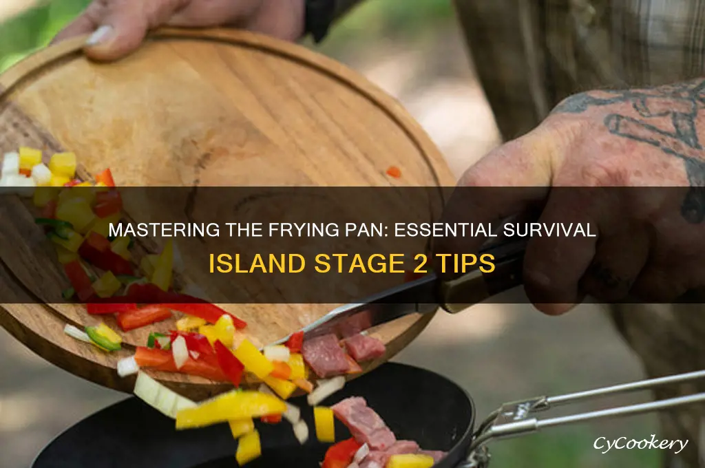 how to use frying pan in survival island stage 2