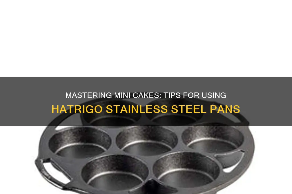 how to use hatrigo stainless mini cake pans