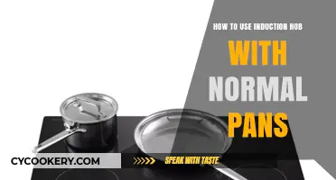 Using Induction Hobs with Regular Pans: Tips and Techniques