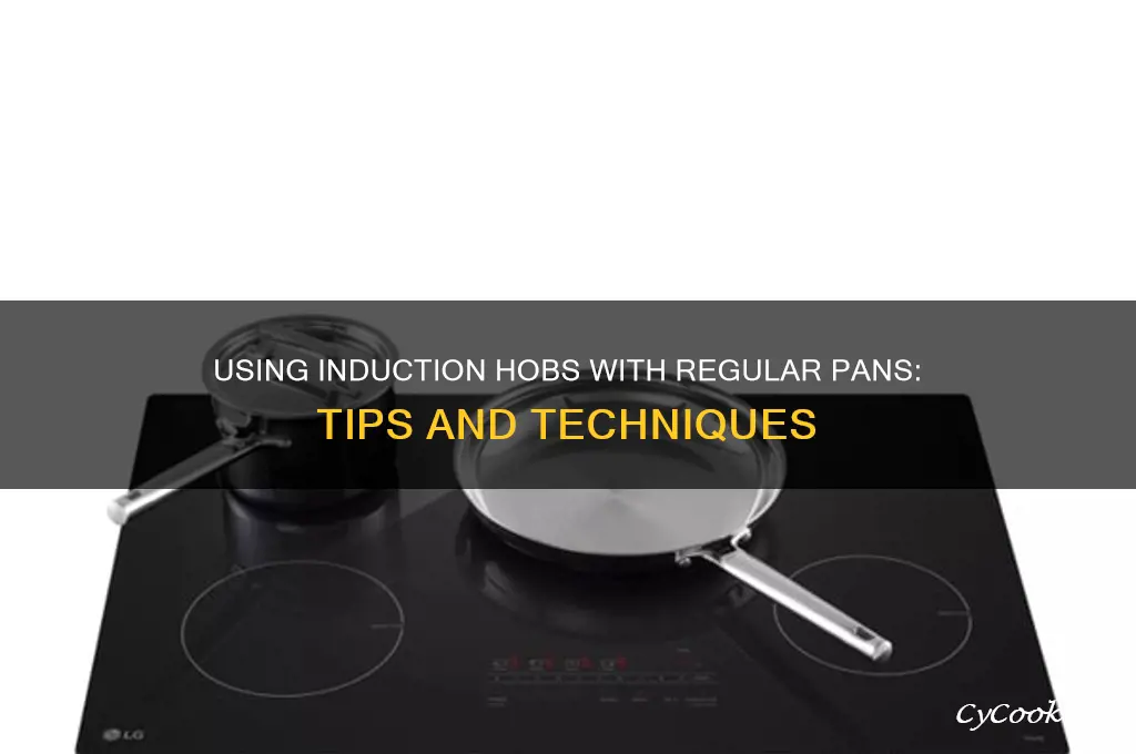 how to use induction hob with normal pans