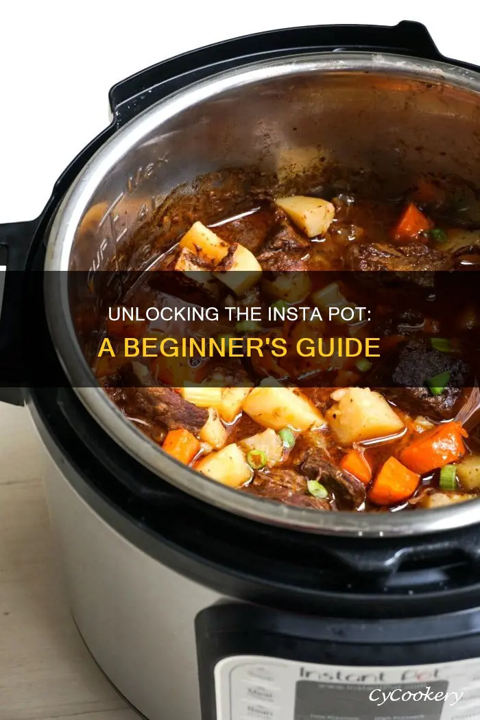 how to use insta pot pressure cooker