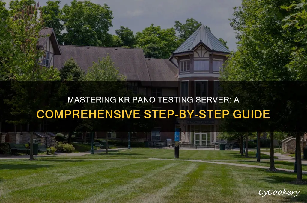 how to use kr pano testing server