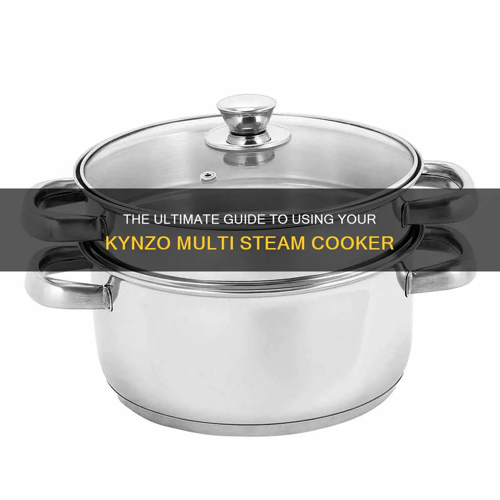 how to use kynzo multi steam cooker