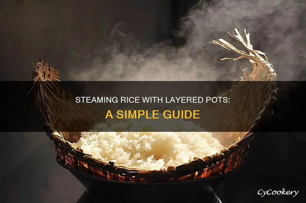 how to use layered steamer cooking pot rice