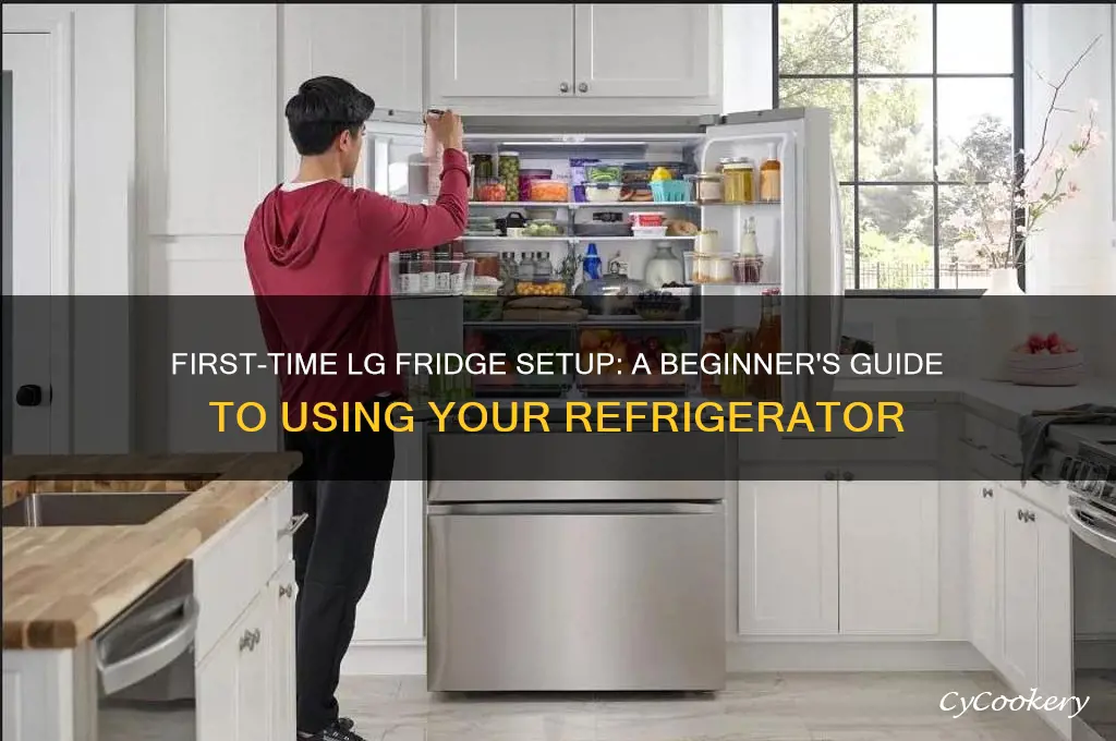 how to use lg refrigerator first time