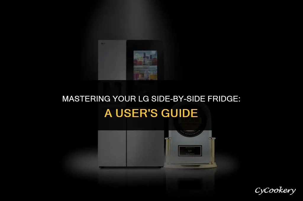how to use lg side by side refrigerator