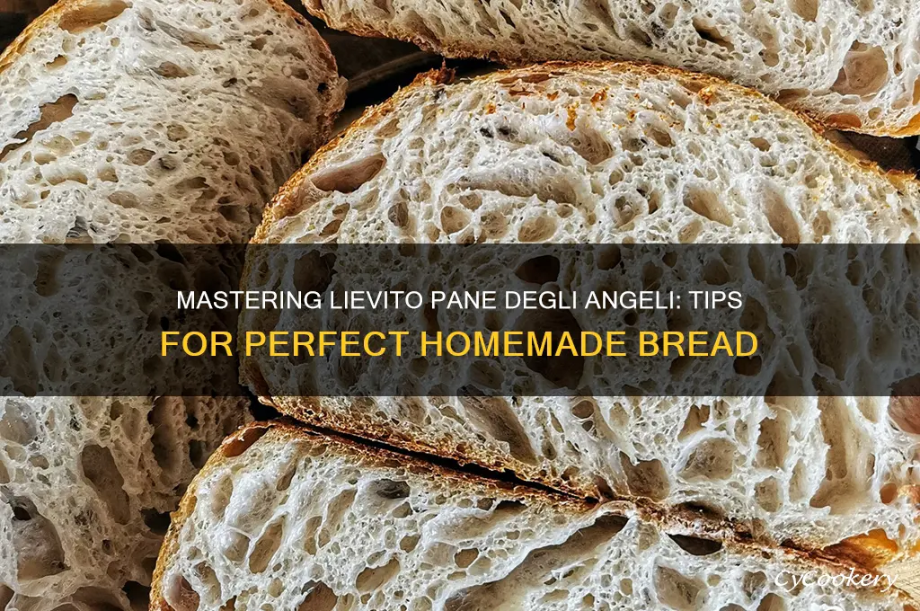 how to use lievito pane degli angeli