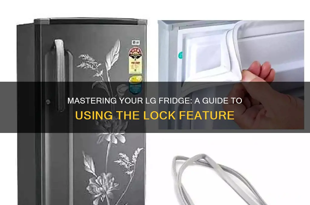 how to use lock in lg refrigerator