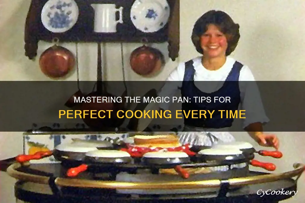 how to use magic pan