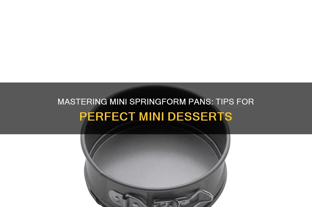 how to use mini springform pans