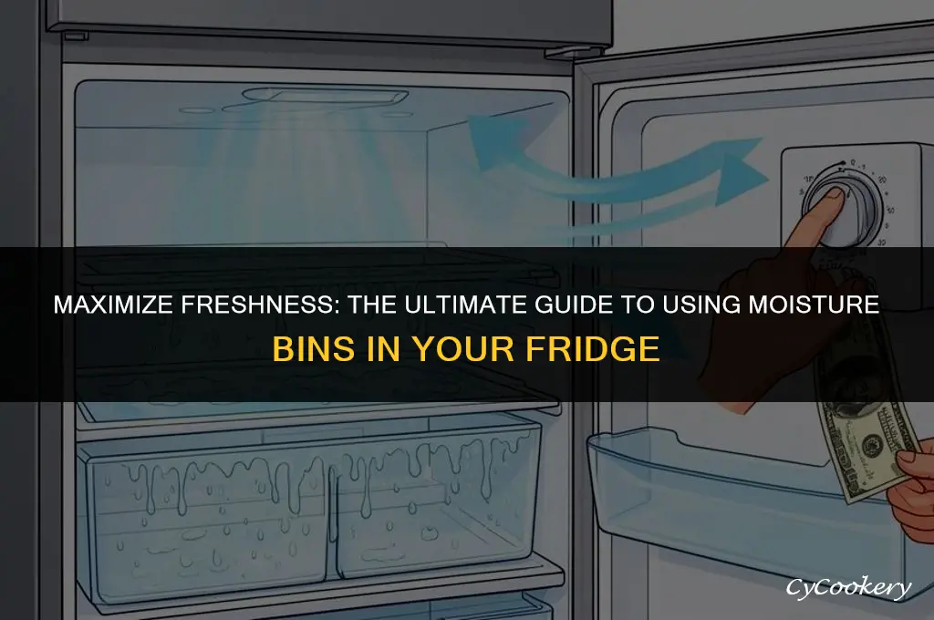 how to use moisture bins in a refrigerator