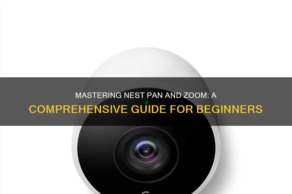 how to use nest pan and zoom