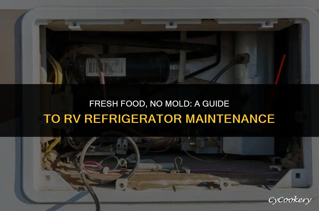 how to use no mold in rv refrigerator