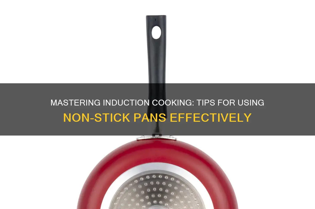 how to use non stick pan on induction stove