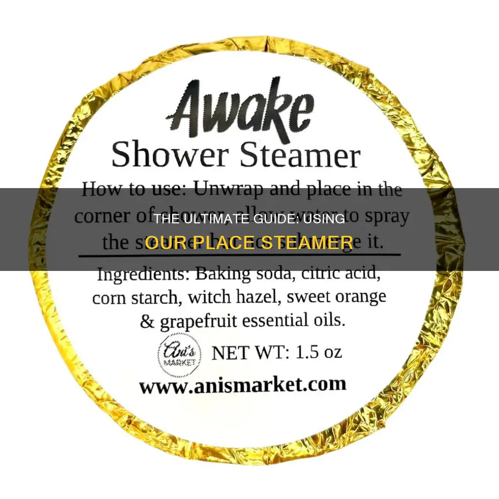 how to use our place steamer