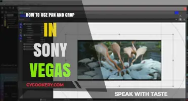 Mastering Pan and Crop Techniques in Sony Vegas Pro