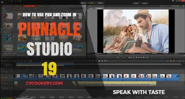 Mastering Pan and Zoom Techniques in Pinnacle Studio 19