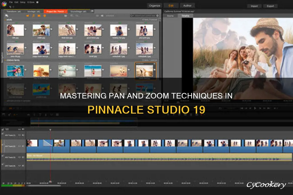 how to use pan and zoom in pinnacle studio 19