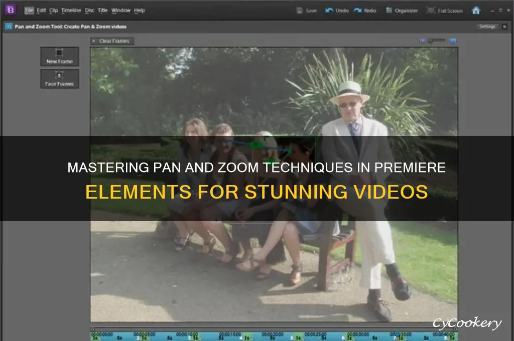 how to use pan and zoom in premiere elements
