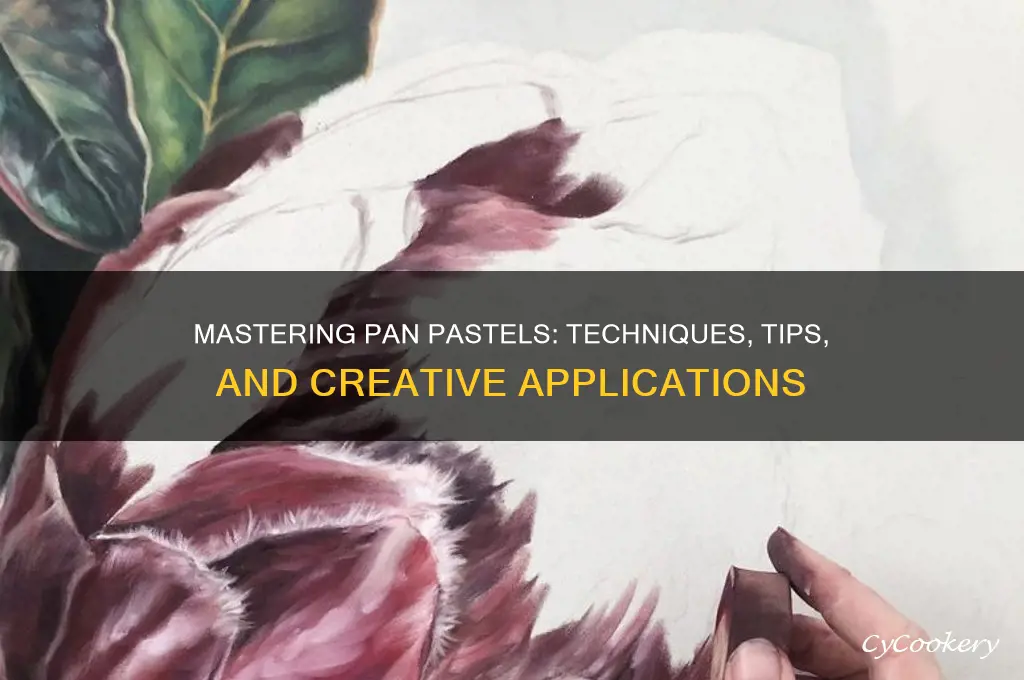 how to use pan pastels