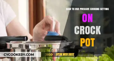 Mastering Pressure Cooking: A Crock-Pot Guide for Perfect Meals