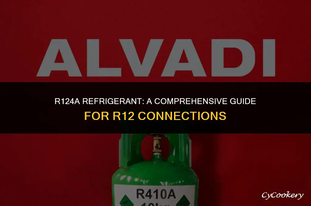how to use r124a refrigerant on a r12 connection