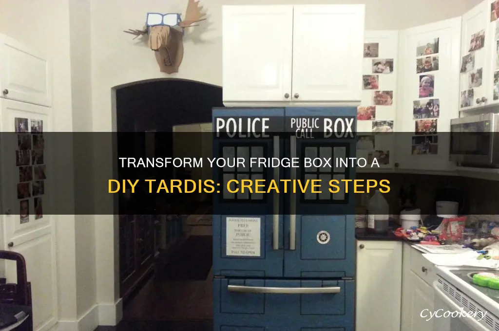 how to use refrigerator box into tardis