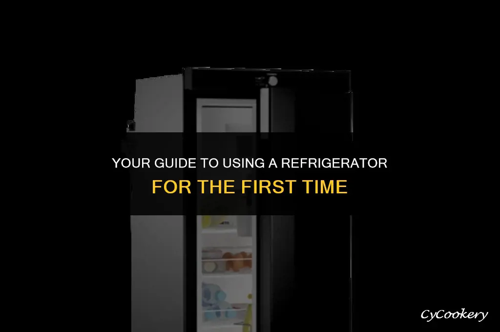 how to use refrigerator for the first time