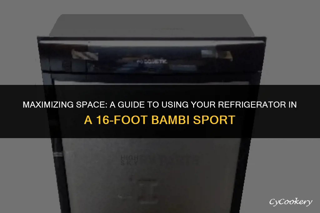 how to use refrigerator in 16 foot bambi sport