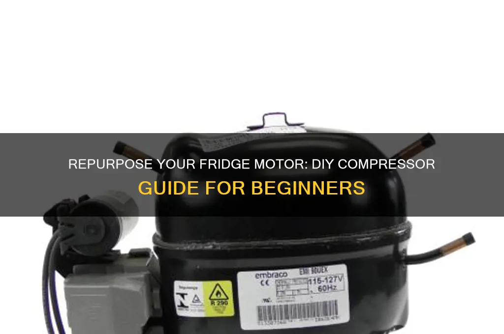 how to use refrigerator motor as compressor