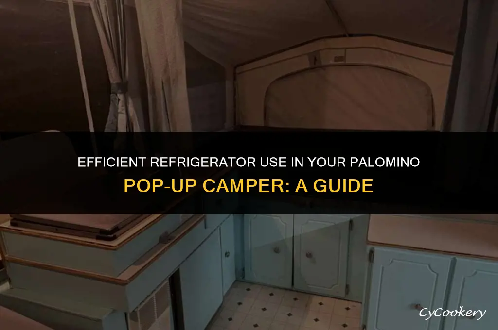 how to use refrigerator on palomino pop up camper