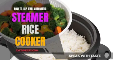 Using the Rival Automatic Steamer Rice Cooker: A Step-by-Step Guide