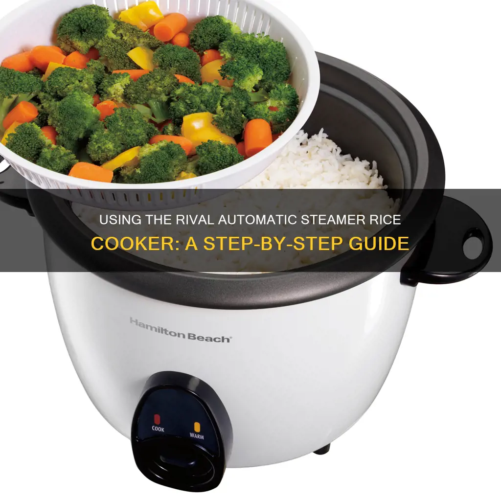 how to use rival automatic steamer rice cooker