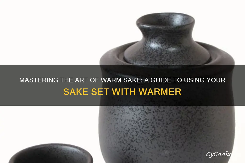 how to use sake set with warmer