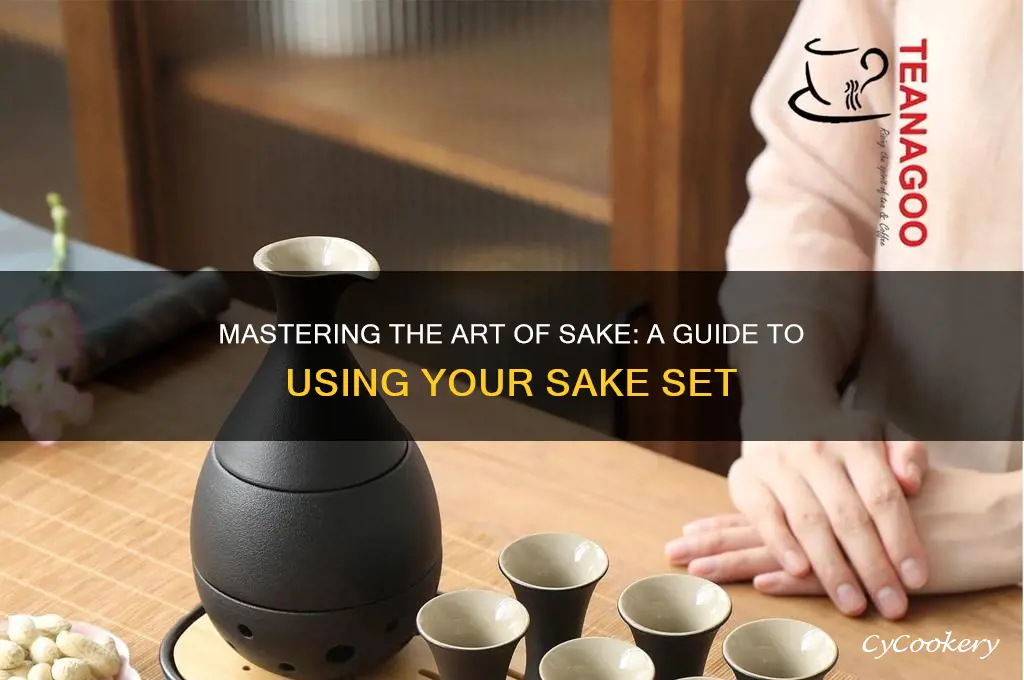 how to use sake set