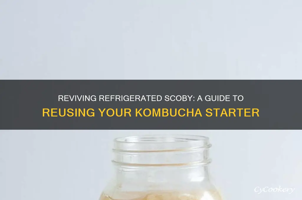 how to use scoby that was refrigerated