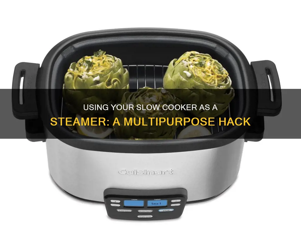 how to use slow cooker as steamer