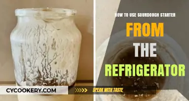 Reviving Your Sourdough Starter: A Step-by-Step Guide from the Fridge
