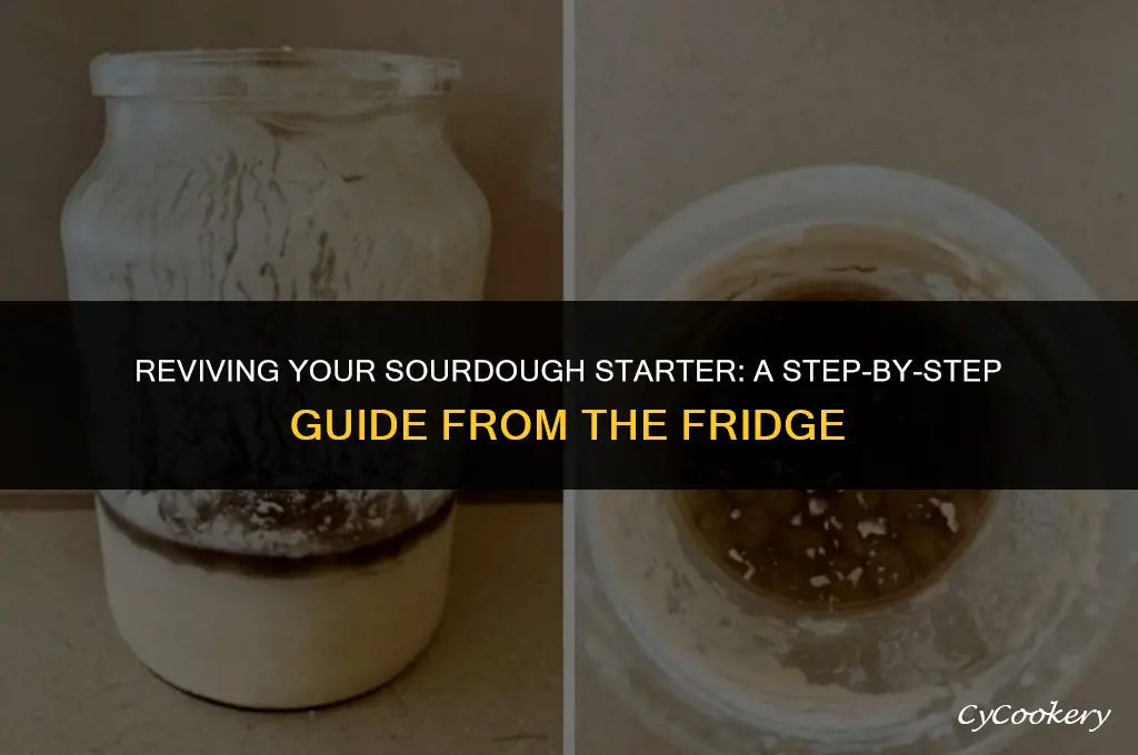 how to use sourdough starter from the refrigerator