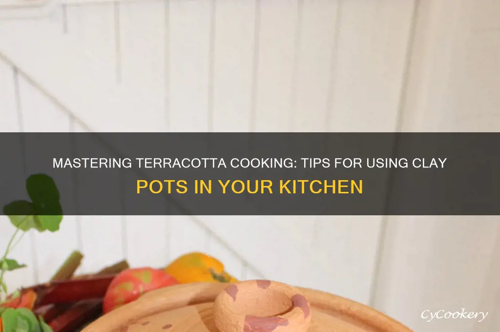how to use terracotta pots for cooking