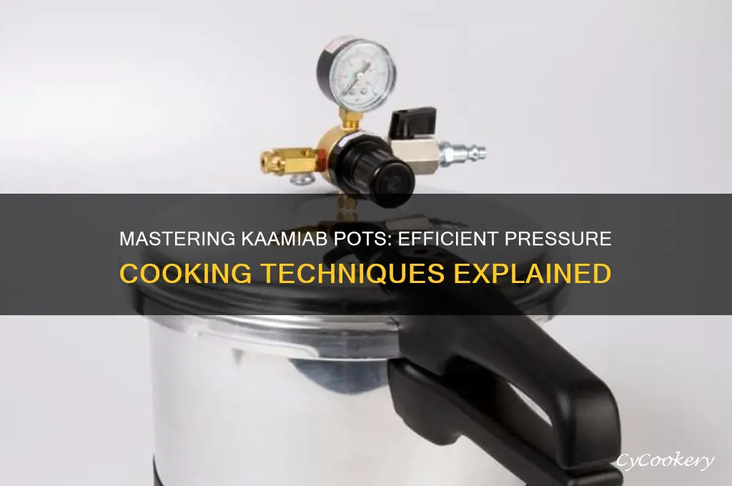 how to use the kaamiab pots in pressure cooker