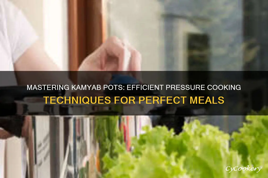 how to use the kamyab pots in pressure cooker