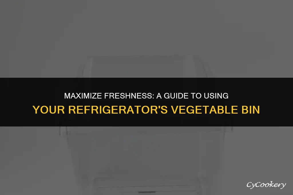 how to use the vegetable bin in the refrigerator