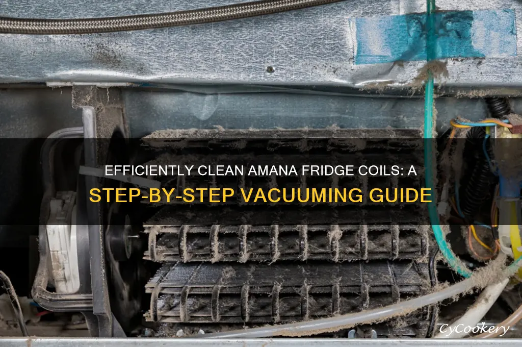 how to vacuum coils under amana refrigerator