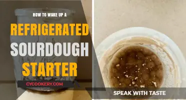 Reviving Your Sourdough Starter: A Step-by-Step Guide