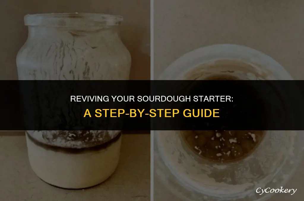 how to wake up a refrigerated sourdough starter